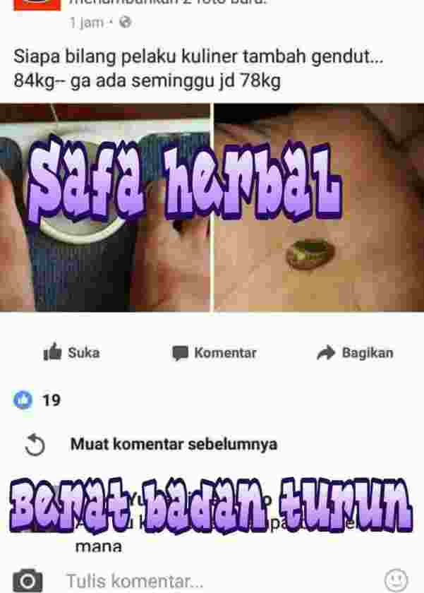 biji-polokyo-asli_1504604244wQo46p.jpeg